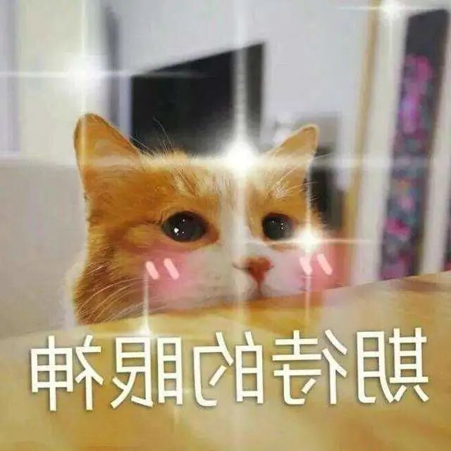 2345_image_file_copy_13.jpg
